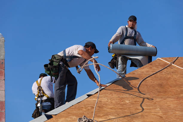 Best Roof Repair Services  in Holton, KS