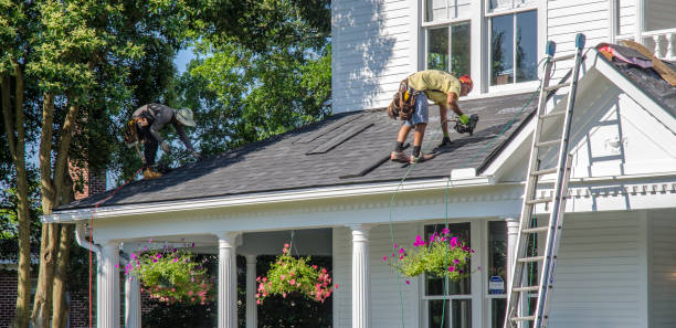 Best Local Roofing Companies  in Holton, KS