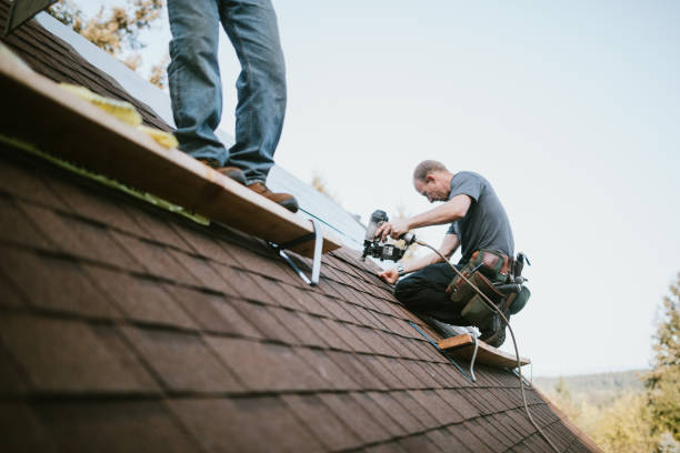 Roof Gutter Cleaning in Holton, KS